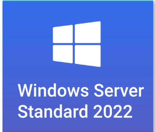 Microsoft Windows Server 2022 license P46215 B21